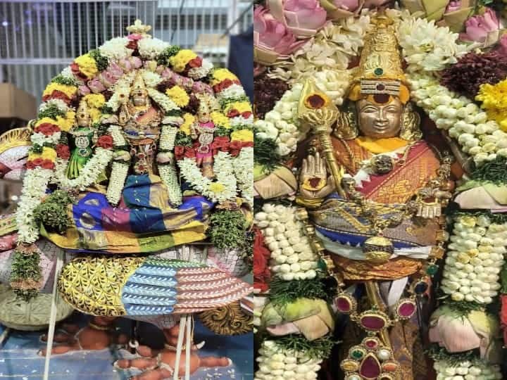 தைப்பூச திருவிழாவையொட்டி பழமுதிர்சோலையில் முருகப் பெருமான் அன்ன வாகனத்தில் எழுந்தருளியபோது.