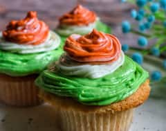 Republic Day 2024: ट्राई कलर बिरयानी से लेकर तिरंगा सैंडविच तक, इस रिपब्लिक डे करें कुछ खास, घर पर बनाएं ये रेसिपीज