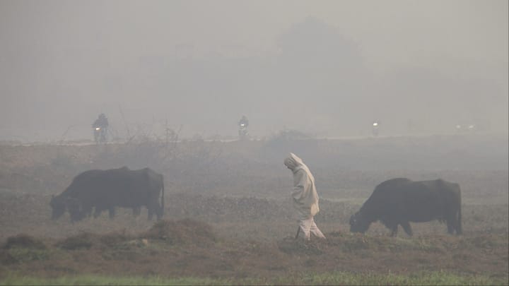 मौसम विभाग ने आज भी हरियाणा के 10 जिलों में घने कोहरे, कोल्ड-डे और कोल्ड वेव का अलर्ट जारी किया है. इसके साथ ही 26 से 28 जनवरी तक ठंड का ऑरेंज अलर्ट जारी किया गया है.