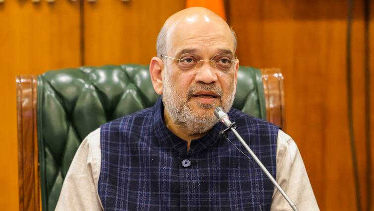 Jammu And Kashmir 66% Drop In Terrorist Activities Abrogation Of Article 370 Amit Shah J&K Saw 66% Drop In Terrorist Activities After Abrogation Of Article 370, Says Amit Shah