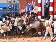 வரலாற்றில் முதல் முறையாக கீழக்கரை மைதானத்தில் நடந்த முதல் ஜல்லிக்கட்டு!