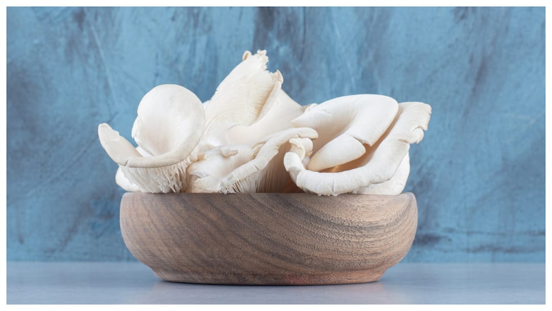 इस सब्जी में मिलता है नॉनवेज से भी ज्यादा प्रोटीन, इसके और भी फायदे जानकर हो जाएंगे हैरान Oyster mushroom is more nutritious than non veg इस सब्जी में मिलता है नॉनवेज से भी ज्यादा प्रोटीन, इसके और भी फायदे जानकर हो जाएंगे हैरान