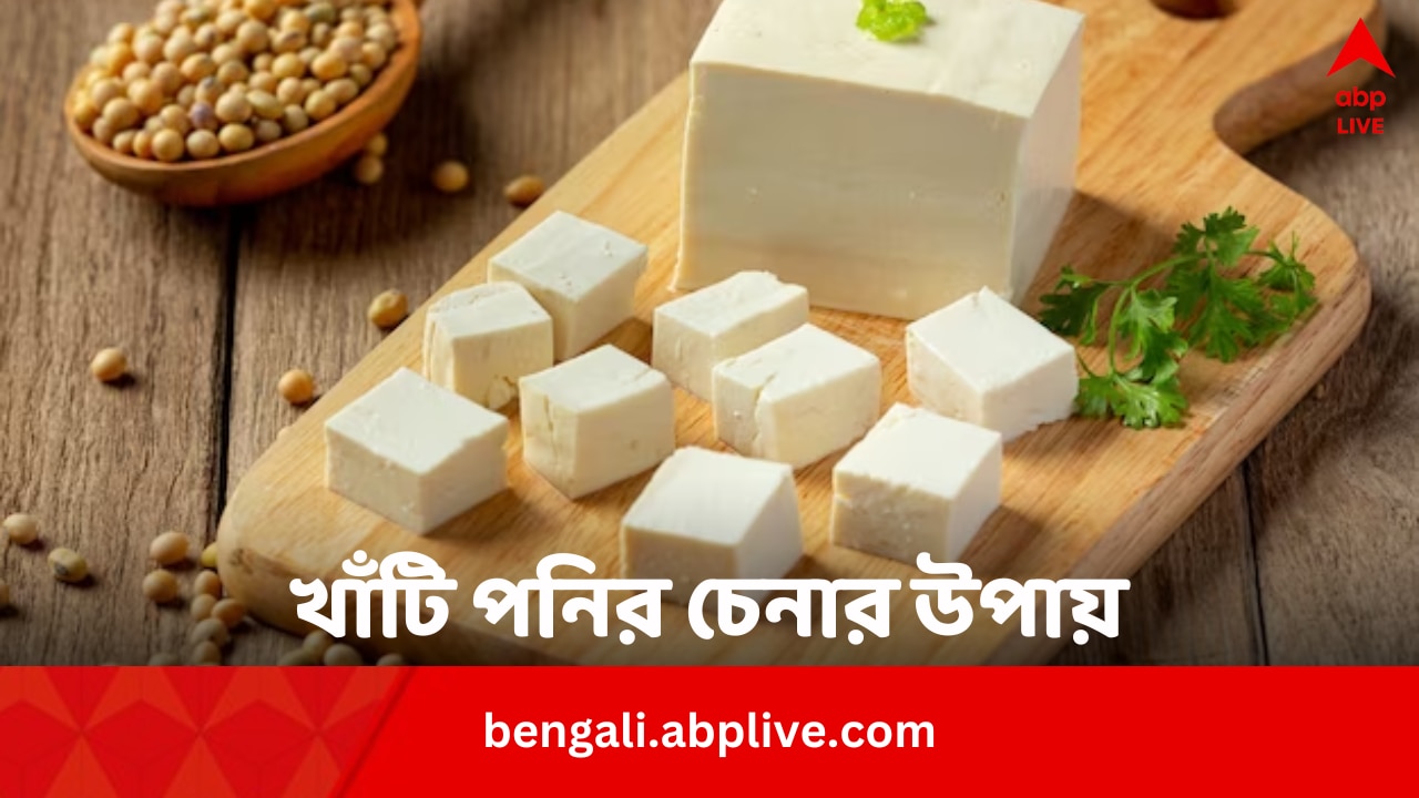 Real vs Fake Paneer: ভেজাল পনির কিনে ঠকার দিন শেষ ! ৫ টিপস মনে রাখলেই খাঁটির স্বাদ পাবেন