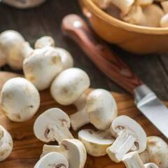 Mushroom:  ਸਿਹਤ ਲਈ ਵਰਦਾਨ ਹਨ ਖੁੰਬਾਂ, ਜਾਣੋ ਫਾਇਦੇ