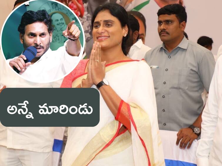 Congress PCC chief Sharmila Comments On jagan and Family issues Sharmila Vs Jagan: వైఎస్‌ ఫ్యామిలీని చీల్చింది జగనే- దేవుడు, తల్లే సాక్ష్యం- షర్మిల సంచలన కామెంట్స్