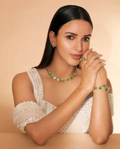 Animal की सक्सेस पर तृप्ति डिमरी ने किया रिएक्ट, कहा- 'सोने से पहले हमेशा अपने सितारों का शुक्रिया अदा करती हूं'