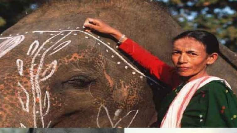 Padma Awards 2024: First Woman Elephant Mahout Among 34 Unsung Heroes Awarded Padma Shri — Check Full List Padma Awards 2024: First Woman Elephant Mahout Among 34 Unsung Heroes Awarded Padma Shri — Check Full List