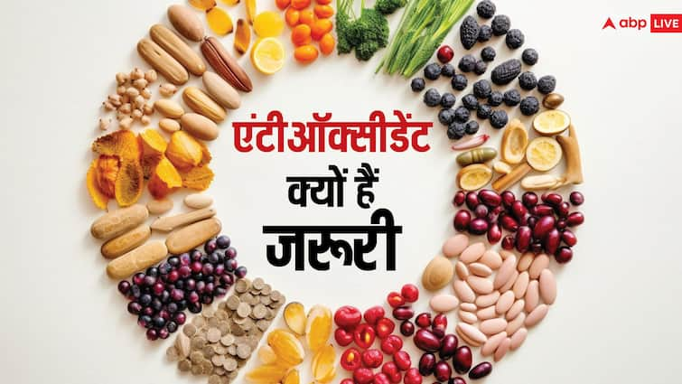 Antioxidant deficiency in the body will be compensated with these veg foods इन वेज फूड से शरीर में एंटीऑक्सीडेंट की कमी हो जाएगी पूरी, जानें हेल्थ के लिए क्यों है जरूरी