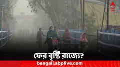 কুয়াশার চাদরে মোড়া একাধিক জেলা, ফের বৃষ্টির পূর্বাভাস রাজ্যে