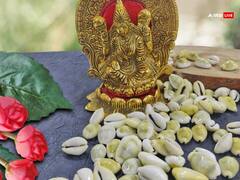 Guru Pushya Nakshatra 2024: आज गुरु पुष्य योग में कर लें ये 5 काम, खिंची चली आएगी लक्ष्मी