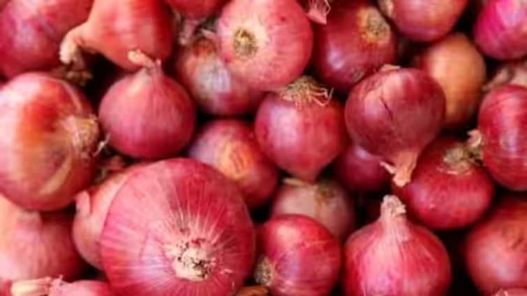 Nashik Onion prices fall again 600 rupees loss per quintal of farmers agriculture Maharashtra Marathi News Nashik Onion : कांद्याचे दर पुन्हा गडगडले; शेतकऱ्यांचे प्रतिक्विंटलमागे होतेय 600 रुपयांचे नुकसान