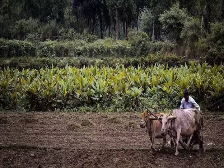 Center new proposal on farmers problems Profitable Is it a loss ABPP Farmers Problems: రైతు స‌మ‌స్య‌ల‌పై కేంద్రం కొత్త ప్ర‌తిపాద‌న‌  లాభ‌మా?  న‌ష్టమా?