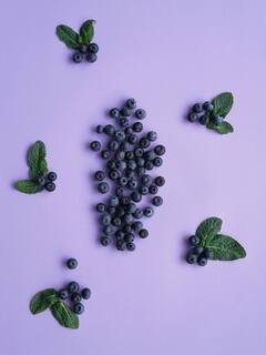 blueberry for health : सफरचंद, संत्रे, केळी सर्व फळांना मात देईल असे छोटं फळ,फायदे जाणून घ्याल तर आजच घेऊन याल.