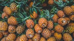 क्या है पाइनएप्पल की खेती का बिजनेस प्लान? फायदे का सौदा है या नहीं जान लीजिए