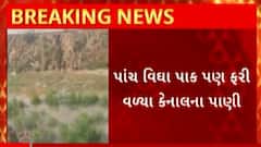 Patan News : નર્મદા વિભાગની વધુ એક બેદરકારી આવી સામે, જાણો શું છે સમગ્ર મામલો