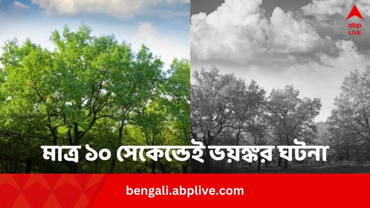 What if the world loses oxygen for ten seconds World Without Oxygen: মাত্র ১০ সেকেন্ড অক্সিজেন না থাকলেই ঘটবে এই ভয়ঙ্কর ঘটনাগুলি ! সবটা জানলে শিউরে উঠবেন