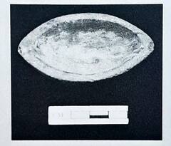 Gyanvapi Survey Report: ज्ञानवापी में ASI सर्वे में क्या कुछ मिला, हिंदू पक्ष ने किया बड़ा दावा, देखें तस्वीरें