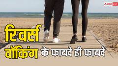सीधा नहीं सिर्फ 15 मिनट चलेंगे उल्टा तो इससे होंगे डबल फायदे, जानें रिवर्स वॉकिंग करने का क्या है सही तरीका