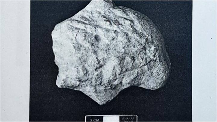 एक प्रतिमा का टूटा हुआ हिस्सा मिला है. यह सैंडस्टोन से बना हुई है. इसकी लंबाई सात सेंटीमीटर है.