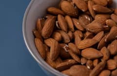 Almond: ਜੇਕਰ ਤੁਸੀਂ ਘਰ 'ਚ ਉਗਾਉਣਾ ਚਾਹੁੰਦੇ ਬਦਾਮ, ਜਾਣੋ ਸੌਖਾ ਤਰੀਕਾ, ਇੱਕ ਕਲਿੱਕ ਨਾਲ ਮਿਲੇਗੀ ਪੂਰੀ ਜਾਣਕਾਰੀ