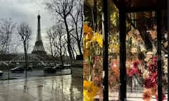 Suhana Khan: ਸੁਹਾਨਾ ਖਾਨ ਨੇ ਪੈਰਿਸ 'ਚੋਂ ਖਾਸ ਪਲਾਂ ਦੀ ਝਲਕ ਕੀਤੀ ਸ਼ੇਅਰ! ਜਾਣੋ ਸ਼ਾਹਰੁਖ ਦੀ ਧੀ ਕਿਸ ਨਾਲ ਆਊਟਿੰਗ ਤੇ ਨਿਕਲੀ