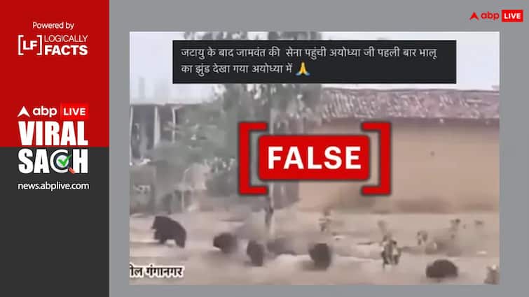 video being viral with false claim that Group of Bears arrived Ayodhya अयोध्या आया भालुओं का झुंड? वायरल हो रहा दावा, जानें क्या है सच्चाई