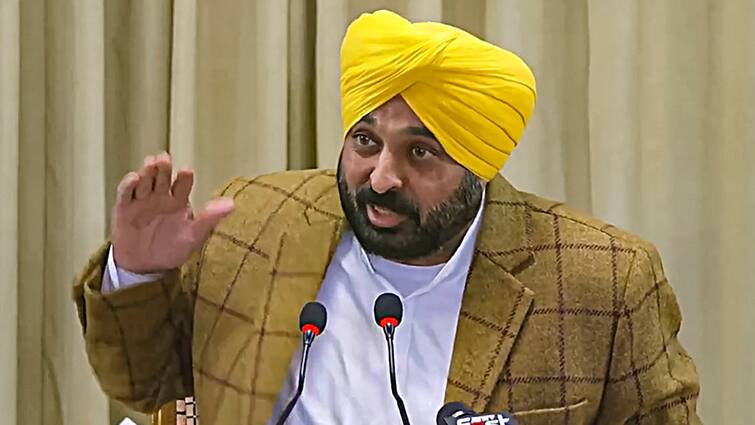 ‘Is There Something Flawed In Them?’: CM Mann Targets Centre As Rejected Punjab Tableaux Showcased In Ludhiana