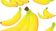 Health Tips: जानें ठंड में केला खाने के फायदे और नुकसान