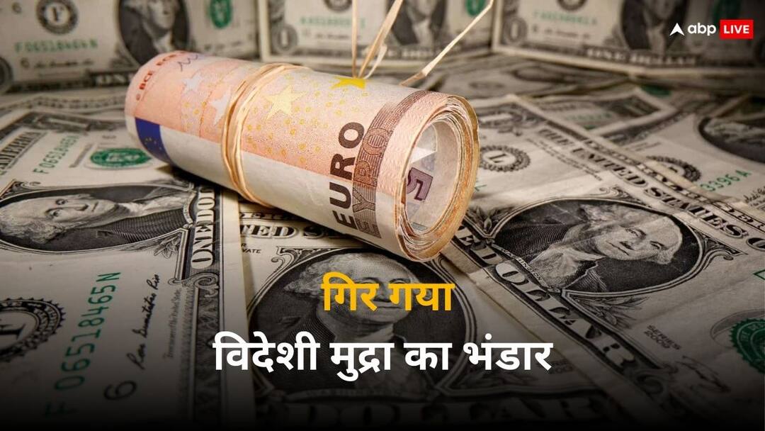 Indias Forex Reserve Declines again says RBI data now settles at this point Forex Reserve: फिर कम हो गया विदेशी मुद्रा भंडार, अब खजाने में बचे इतने बिलियन डॉलर!