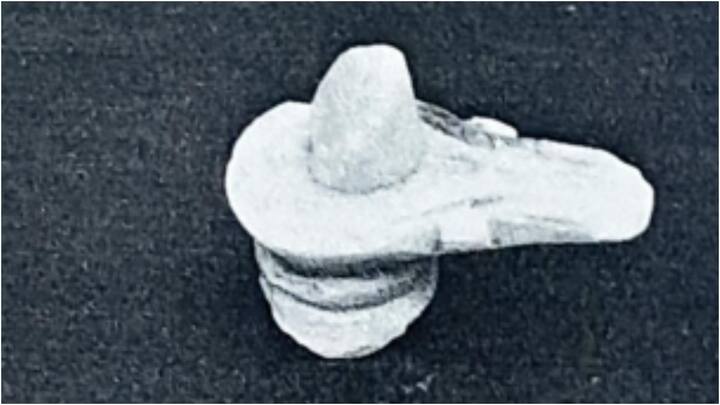 मिनिएचर साइज का शिवलिंग मिला है. इसकी लंबाई 2.5 सेंटीमीटर बताई जा रही है.