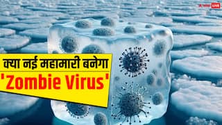कोरोना से चार गुना ज्यादा खतरनाक है जॉम्बी वायरस, 48000 साल से बर्फ के नीच छिपा बैठा है ये दैत्य, वैज्ञानिकों ने दी वार्निंग