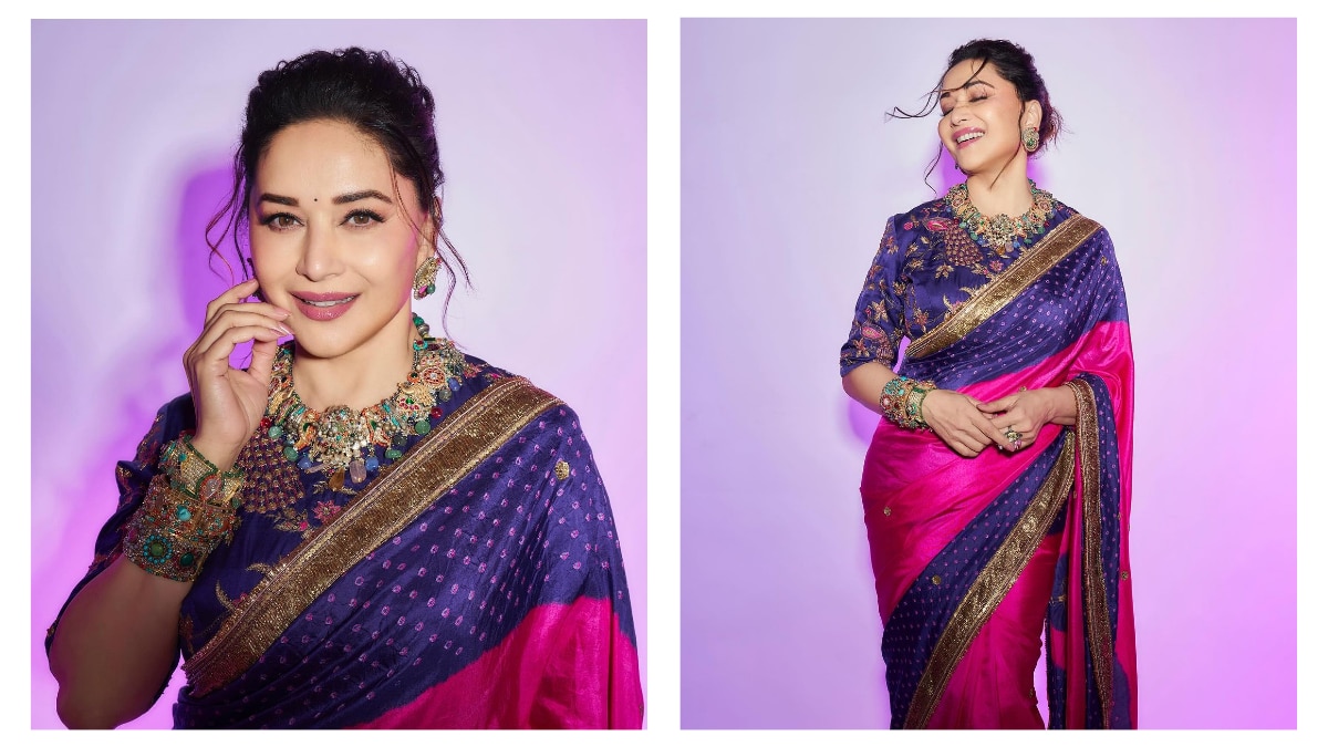 Madhuri dixit hot sale saree style