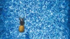 क्या है पाइनएप्पल की खेती का बिजनेस प्लान? फायदे का सौदा है या नहीं जान लीजिए