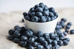 blueberry for health : सफरचंद, संत्रे, केळी सर्व फळांना मात देईल असे छोटं फळ,फायदे जाणून घ्याल तर आजच घेऊन याल.