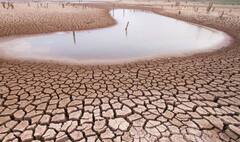 'या' राज्यात जलसंकट, शेतकऱ्यांनी 1,74,000 एकर जमिनीवर भातशेती सोडली, भूजल पातळीत मोठी घट