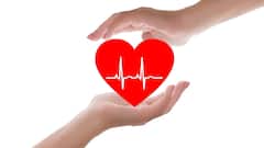 Good Cholesterol: હાર્ટને હેલ્ધી રાખવા અને ગૂડ કોલેસ્ટ્રોલ વધારવા માટે રૂટીનમાં સામેલ કરો આ 5 કામ