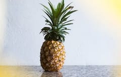 Agriculture: ਜੇਕਰ ਕਰਨਾ ਚਾਹੁੰਦੇ ਅਨਾਨਾਸ ਦੀ ਖੇਤੀ? ਤਾਂ ਜਾਣੋ ਤਰੀਕਾ ਅਤੇ ਫਾਇਦਾ, ਇੱਕ ਕਲਿੱਕ ‘ਚ ਜਾਣੋ ਹਰੇਕ ਗੱਲ