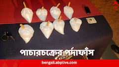বাংলাদেশে পাচারের পথে উদ্ধার ১৮ লক্ষের রুপো, BSF, শুল্ক দফতরের অভিযানে এল সাফল্য