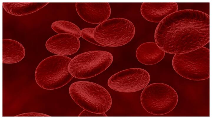 हीमोग्लोबिन हमारे ख़ून में मौजूद एक बेहद जरूरी प्रोटीन होता है जो ऑक्सीजन को हमारी शरीर की सभी कोशिकाओं तक पहुंचाता है. सर्दियों के मौसम में हमारा हीमोग्लोबिन लेवल कम हो सकता है, जिससे हमें कमजोरी और थकान महसूस होती है.