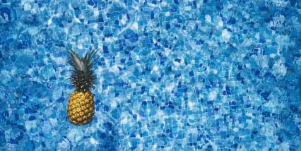 ਅਨਾਨਾਸ ਦੀ ਕਾਸ਼ਤ ਕਰਨ ਲਈ ਚੰਗੇ ਨਿਕਾਸ ਵਾਲੀ, ਡੂੰਘੀ ਅਤੇ ਚਿਕਨੀ ਮਿੱਟੀ ਦੀ ਲੋੜ ਹੁੰਦੀ ਹੈ। ਅਨਾਨਾਸ ਦੀਆਂ ਕਈ ਕਿਸਮਾਂ ਹਨ। ਜਿਸ ਵਿੱਚ ਜਾਇੰਟ ਕਿਊ, ਕਵੀਨ, ਰੈੱਡ ਸਪੈਨਿਸ਼ ਆਦਿ ਸ਼ਾਮਲ ਹਨ। ਇਨ੍ਹਾਂ ਵਿੱਚੋਂ ਇੱਕ ਕਿਸਮ ਦੀ ਚੋਣ ਕਰਨ ਵੇਲੇ ਸਥਾਨਕ ਜਲਵਾਯੂ ਅਤੇ ਮਿੱਟੀ ਦੀਆਂ ਸਥਿਤੀਆਂ ਨੂੰ ਧਿਆਨ ਵਿੱਚ ਰੱਖਣਾ ਚਾਹੀਦਾ ਹੈ।