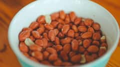 Peanuts Side Effects : हा आजार असणाऱ्यांनी ' शेंगदाणे ' अजिबात खाऊ नये !