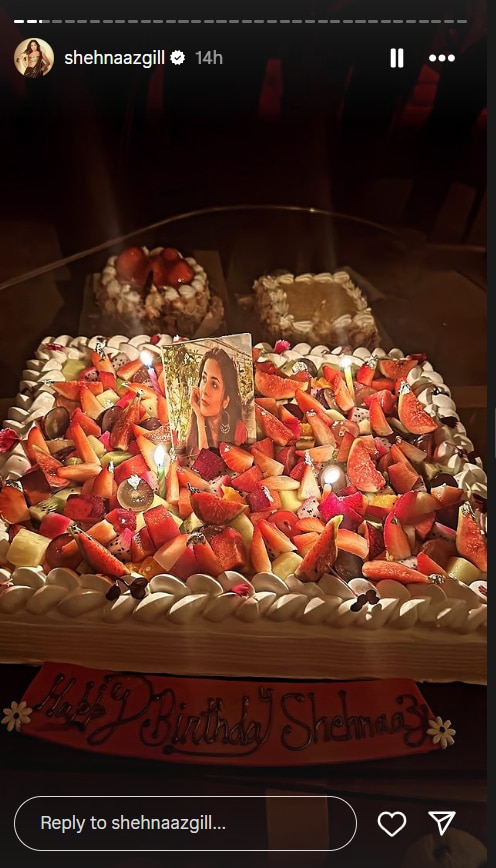 Shehnaaz Gill Birthday: शहनाज़ गिल ने आधी रात को काटा अपना बर्थडे केक, बच्चों की तरह मस्ती करती नजर आईं एक्ट्रेस