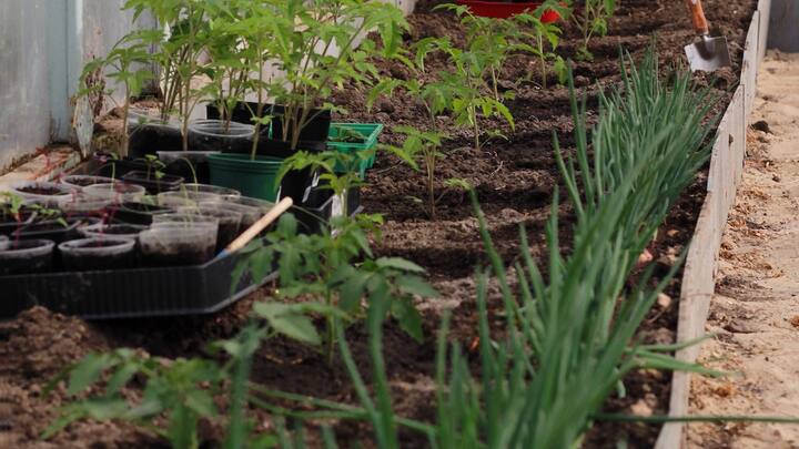 शहरों से गांवों की ओर बढ़ते पलायन ने खेती-किसानी पर बुरा असर पड़ा है, लेकिन अगर किसान अपने खेत-खलिहनों से जुड़े रहकर लाखों का मुनाफा कमाना चाहते हैं, तो वे खेती के साथ-साथ कई तरह के कृषि स्टार्ट या व्यवसाय शुरू कर सकते हैं.