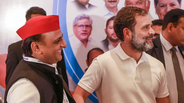 Yogi adityanath minister rakesh sachan calls India alliance bundle of snakes ann Lok Sabha Election: योगी के मंत्री ने 'इंडिया' गठबंधन को बताया 'सांपों की गठरी', 2024 को लेकर कर दिया बड़ा दावा