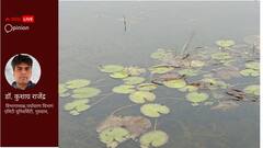 वेटलैंड यानी 'नम भूमि' हैं पृथ्वी के किडनी, चाहिए मानव-कल्याण तो रखना होगा इनको सुरक्षित