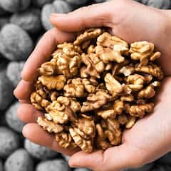 Walnuts: ਦਿਲ ਤੇ ਸ਼ੂਗਰ ਦੀ ਬਿਮਾਰੀ ਲਈ ਵਰਦਾਨ ਤੋਂ ਘੱਟ ਨਹੀਂ ਹੈ ਅਖਰੋਟ