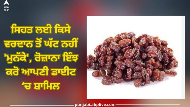 Munakka Benefits: 'Munakka' include it in your diet daily, you will get miraculous benefits Munakka Benefits: ਸਿਹਤ ਲਈ ਕਿਸੇ ਵਰਦਾਨ ਤੋਂ ਘੱਟ ਨਹੀਂ 'ਮੁਨੱਕੇ', ਰੋਜ਼ਾਨਾ ਇੰਝ ਕਰੋ ਆਪਣੀ ਡਾਈਟ ‘ਚ ਸ਼ਾਮਿਲ, ਮਿਲਣਗੇ ਚਮਤਕਾਰੀ ਫਾਇਦੇ