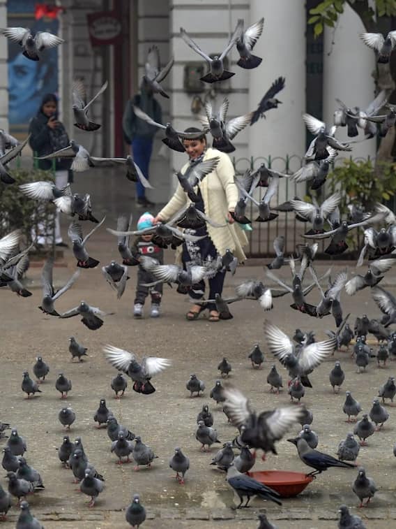 दिल्ली में मौसम की दोहरी मार, ठंड के साथ हवा हुई जहरीली