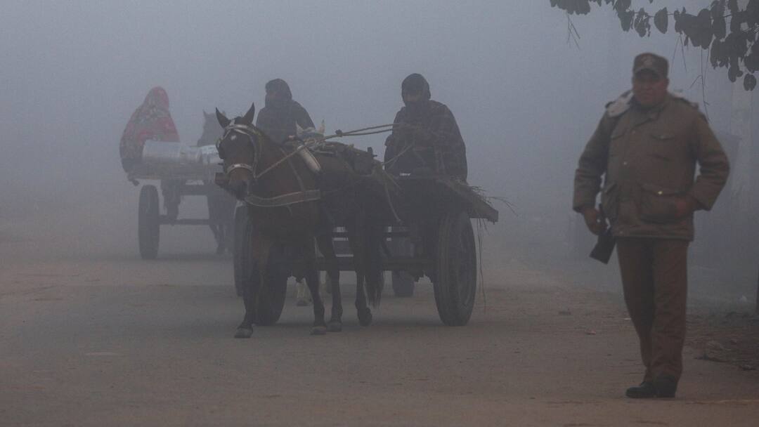 UP Weather Today: यूपी में ठंड का प्रकोप, नोएडा, लखनऊ समेत 50 जिलों में कोहरे और शीत दिवस का रेड अलर्ट, जानें- मौसम Weather Update Today 27 January up IMD Forecast cold day lucknow, noida, meerut Ka Mausam UP Weather Today: यूपी में ठंड का प्रकोप, नोएडा, लखनऊ समेत 50 जिलों में कोहरे और शीत दिवस का रेड अलर्ट, जानें- मौसम