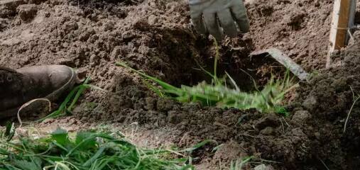 ਖੇਤੀ ਦੇ ਨਾਲ-ਨਾਲ ਕਿਸਾਨ ਕਰਨ ਇਹ ਕੰਮ